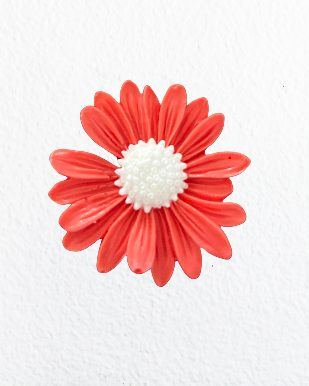 Gerbera